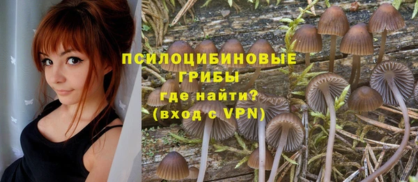 a pvp Алзамай