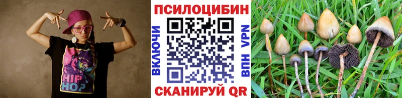 закладка гидра вход Галлюциногенные грибы Cubensis Феодосия